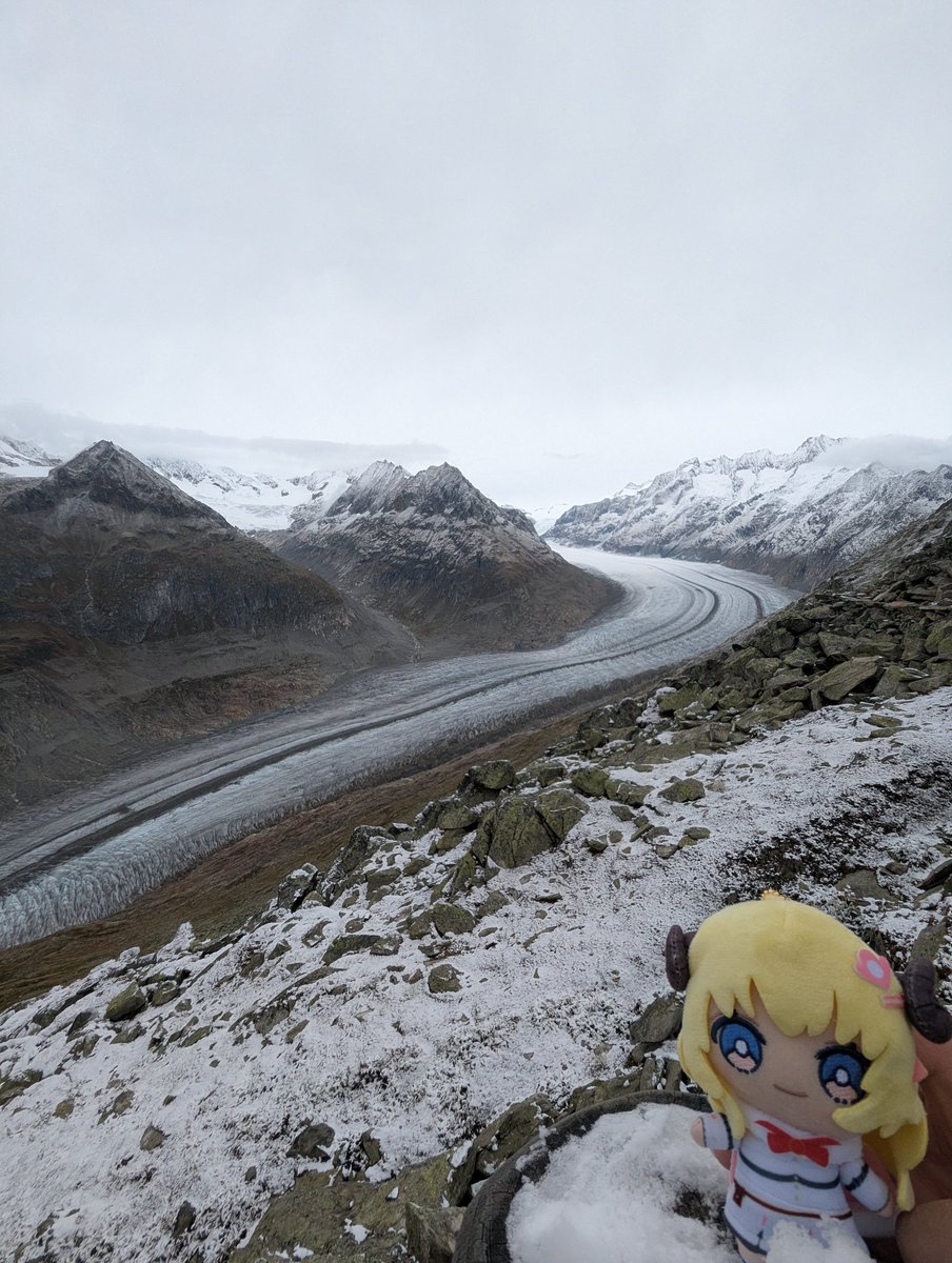 ghoul002's tweet photo. Sheep in Bettmerhorn!!

#わためいと https://t.co/Z0A2CztAm5