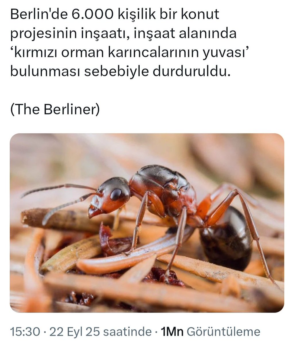 Hakkın alır karınca...

Almanya'nın Lichterfelde-Süd şehrinde kırmızı orman karıncaları için 6 bin konutluk bir inşaat projesi durdurulmuş...
Bölgede daha evvel kertenkeleler varmış. Onlar için hassasiyet gösterilmiş. Fakat karıncaların çıkması sürpriz olmuş. Temmuz ayında şirket