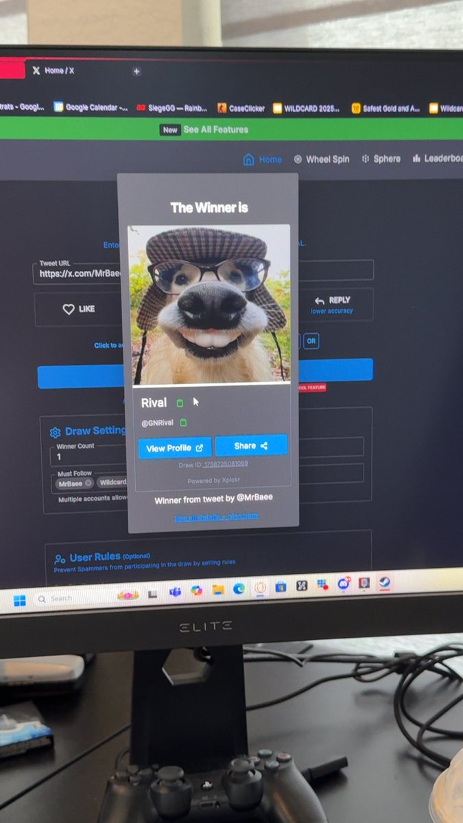 WINNER  <a href="/GNRival/">Rival</a>