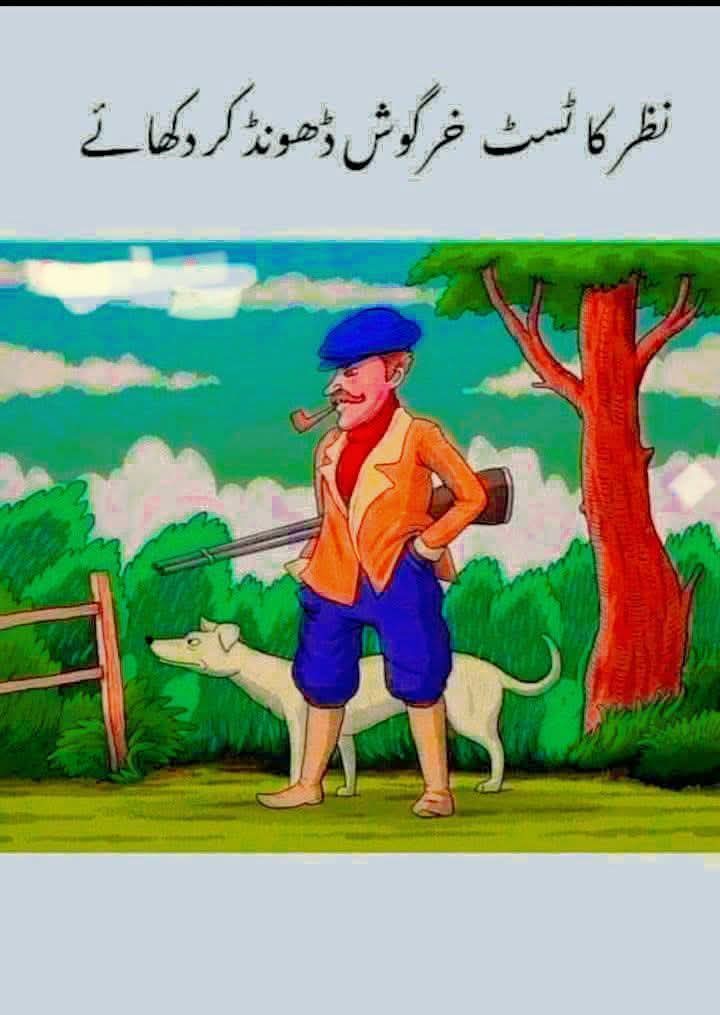 Search krooo