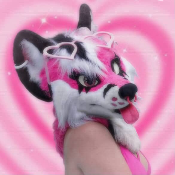 I’m still alive on here! Thanks for 1k followers #furry