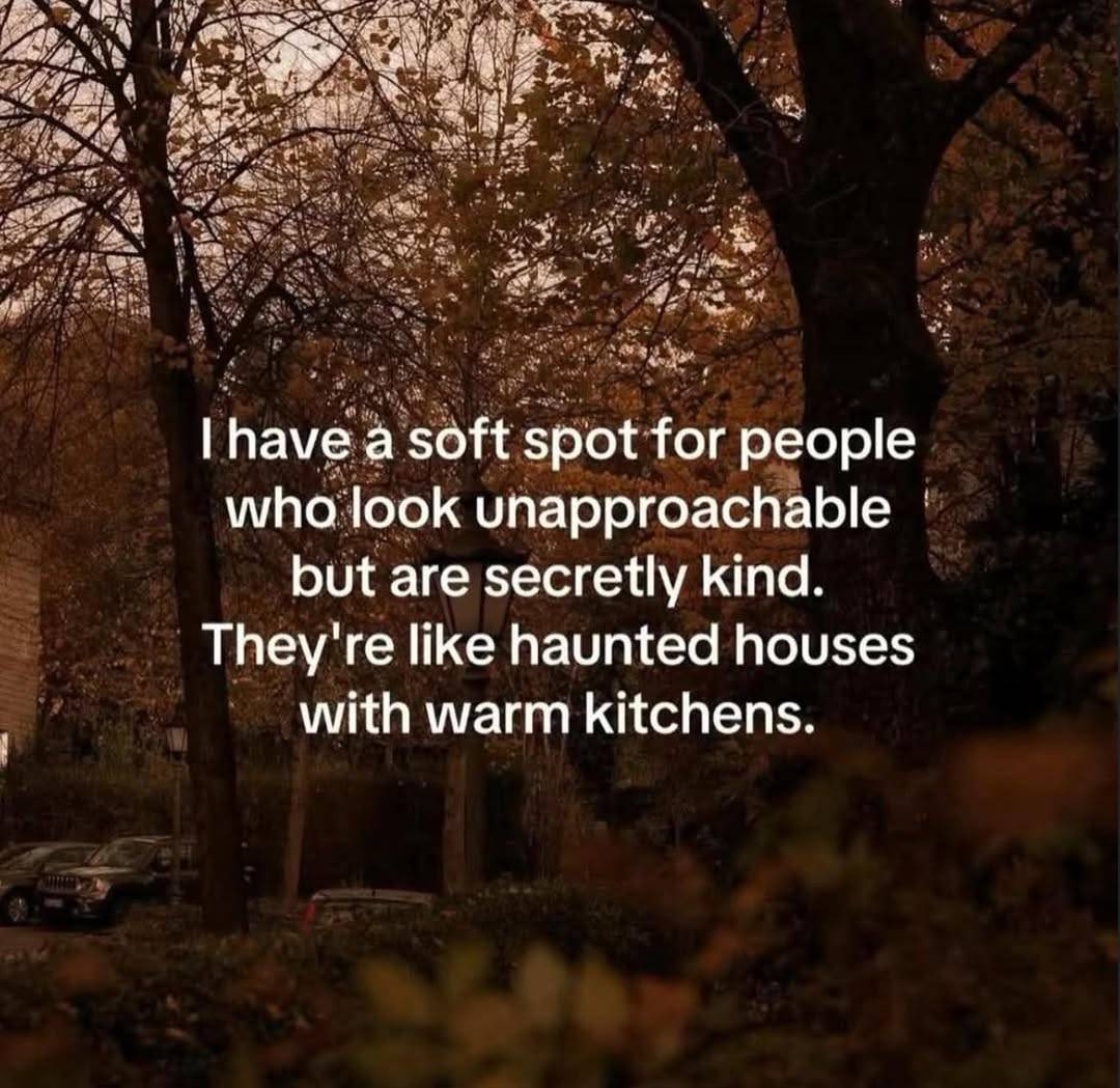 Synexdoche (@amor_fatti) on Twitter photo 