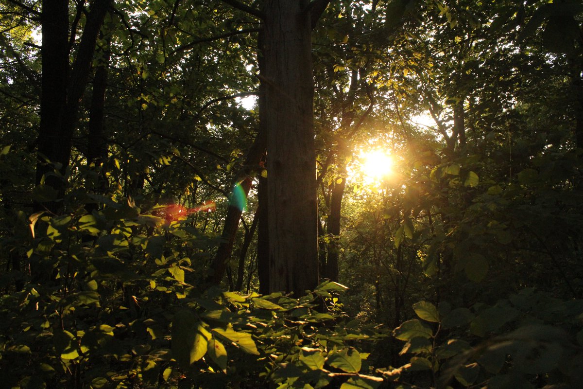 Iowa State AMS tweet media