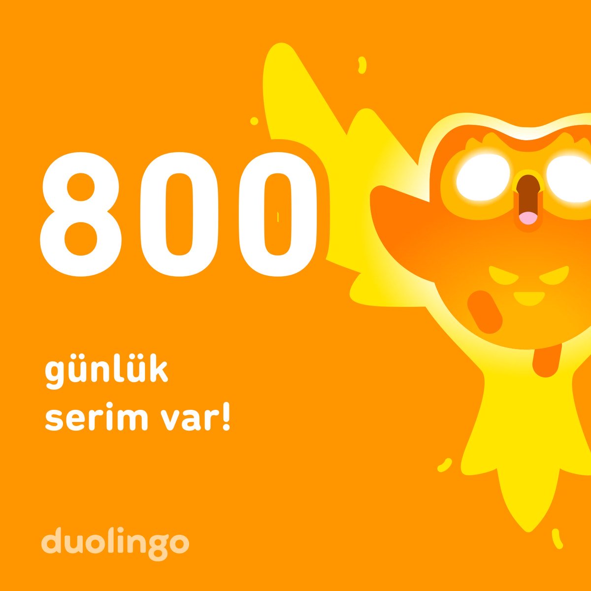 Sezen Firdevs KAHYA (@kaahya) on Twitter photo 