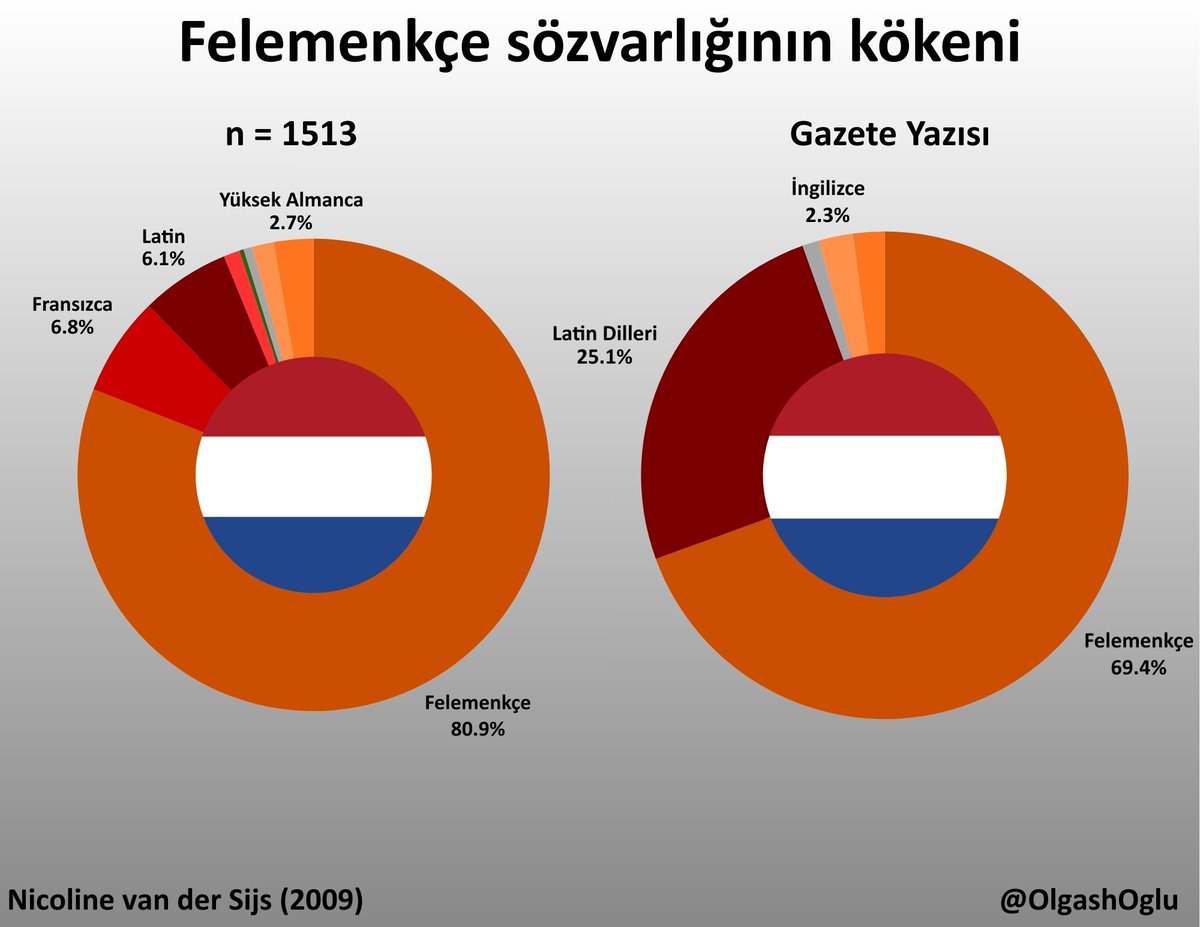 Felemenkçenin temel ve gazetelerdeki sözvarlığının etimolojik kökenlerine dair bir çalışma.