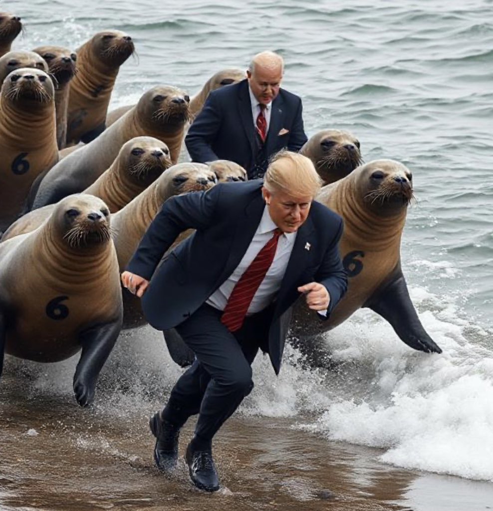 _SolutionsParty's tweet image. Biden could’ve sent seal team 6 after Trump… but he never did it..