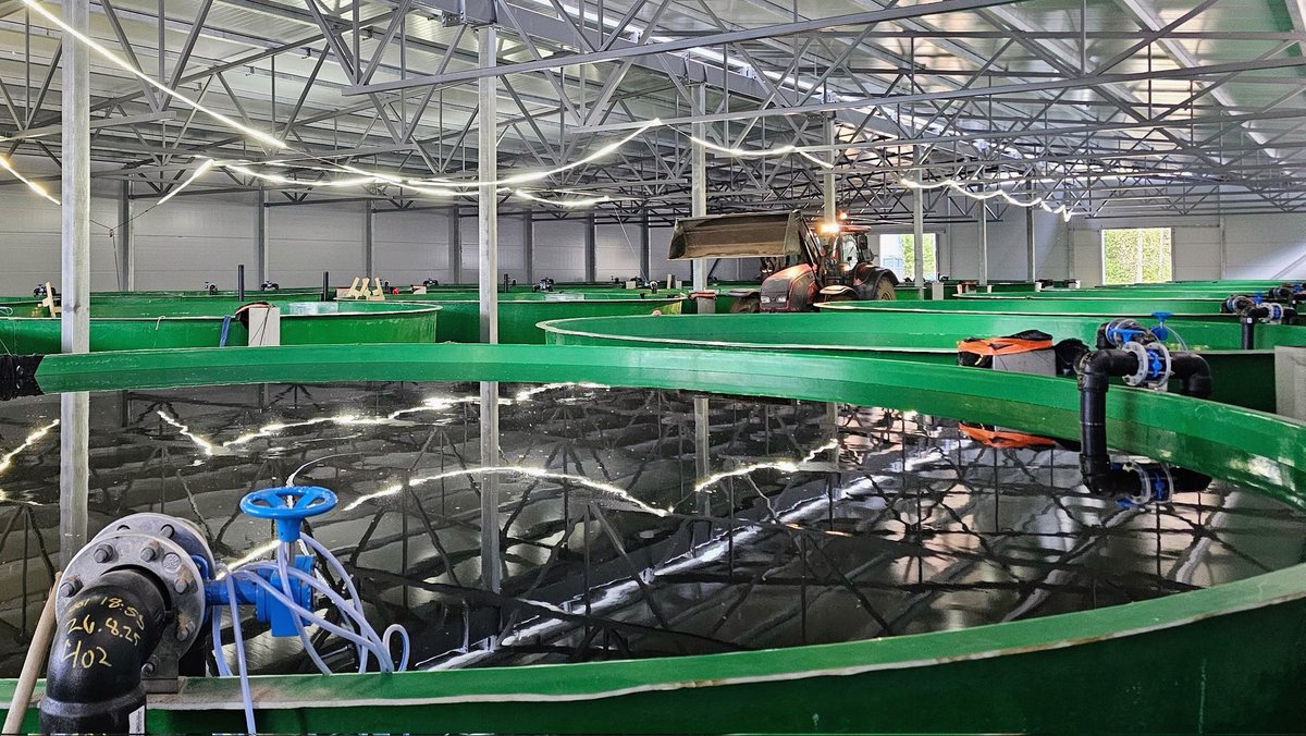 Ossauskoskella käynnissä uusien altaiden vesitäyttökokeet, joilla varmistetaan altaiden tiiveys. Sisätäytöt myös työnalla. Traktorilla mahtuu halliin toimittamaan hiekkaa mutta ei kääntymään 🙂

<a href="/KemijokiOy/">Kemijoki Oy</a> 
<a href="/PVOVesivoima/">PVO-Vesivoima</a> 
<a href="/voimalohi/">Voimalohi</a>