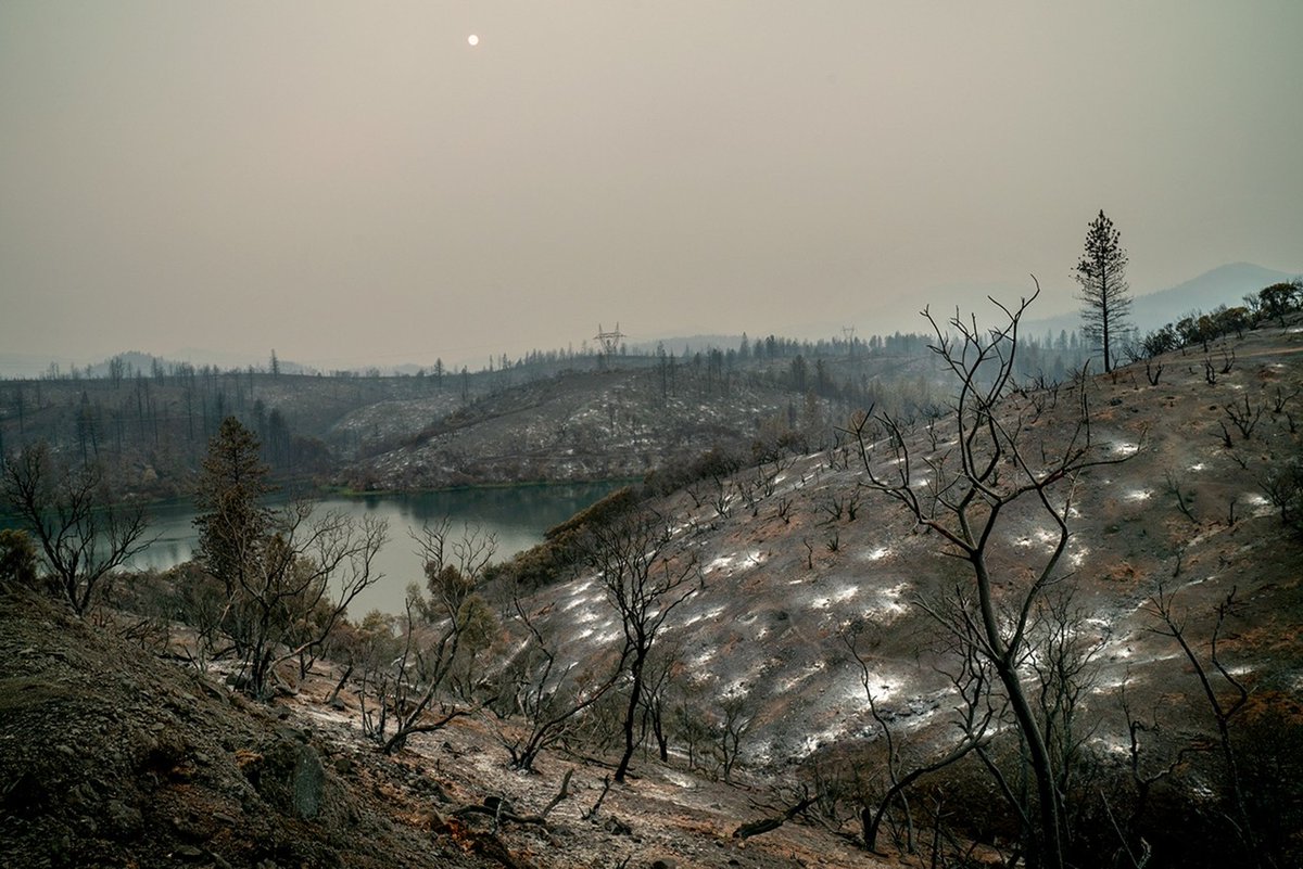 NASAEarth's tweet image. HydroFlame, a new online tool built with support from @NASA, will help predict how wildfires can affect water resources, from tap water to the rivers and streams where people fish. go.nasa.gov/4nLnxmz