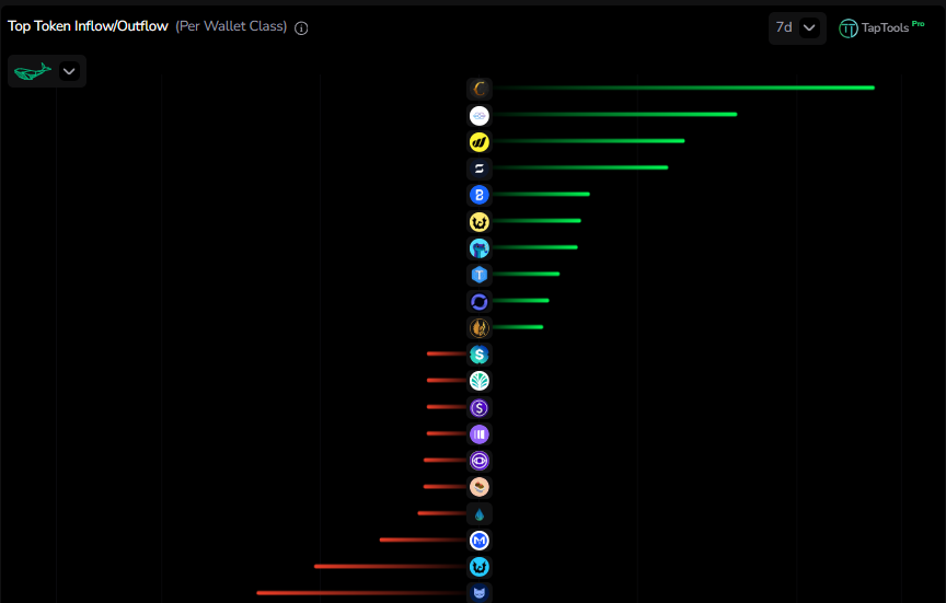 splashprotocol tweet picture