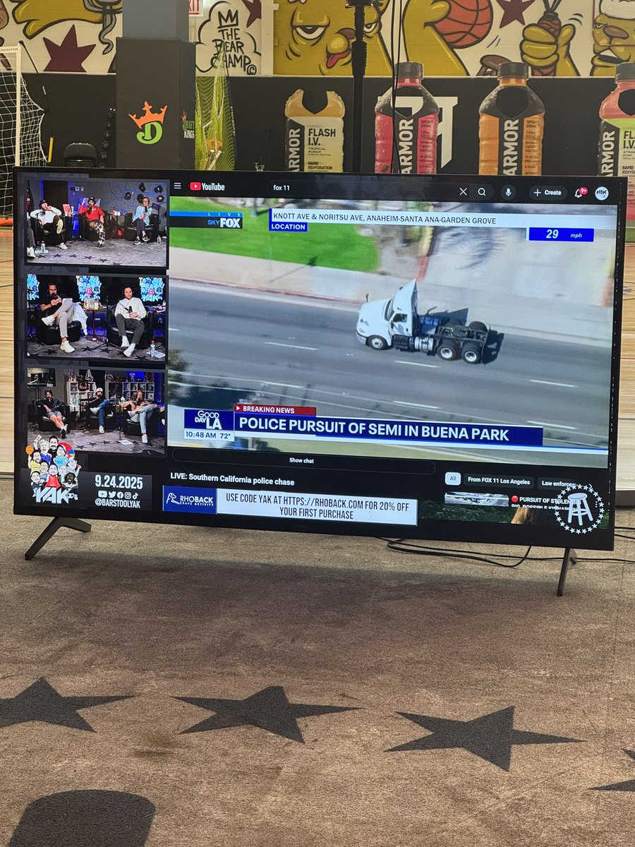 Big Cat tweet media