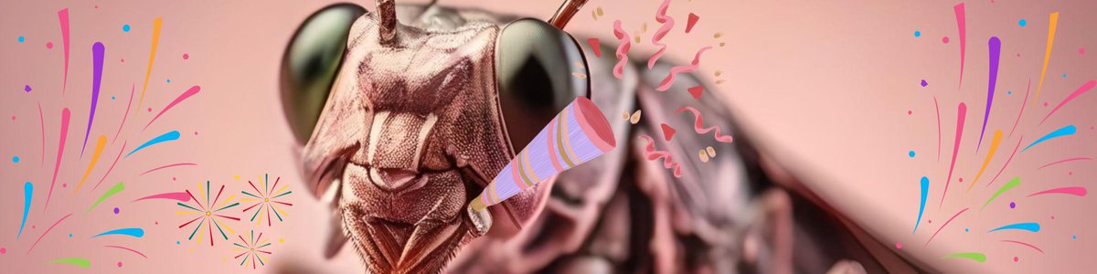 "The birth of a baby brings the birth of a mother too. A doula helps nurture the mental health of both." Author unknown