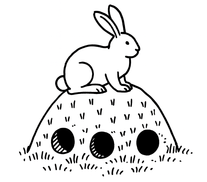 STRATEGY: A smart rabbit has three holes
theboombust.com/macrofiles