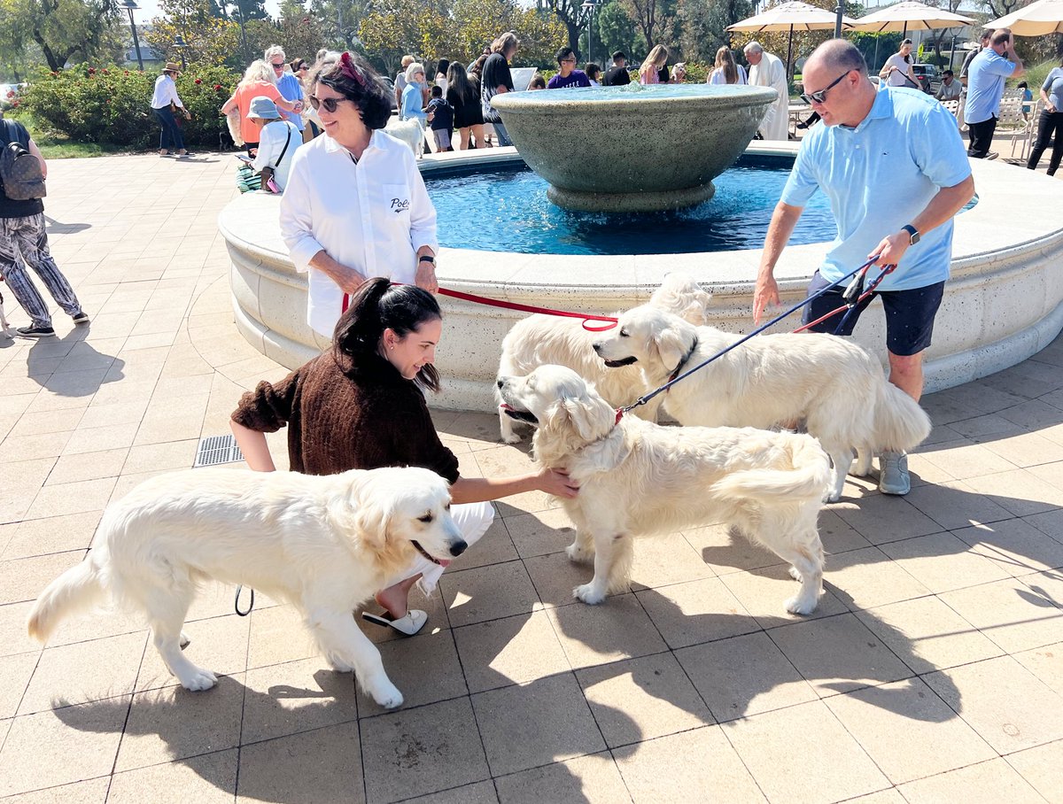 OLQA Catholic Church tweet media