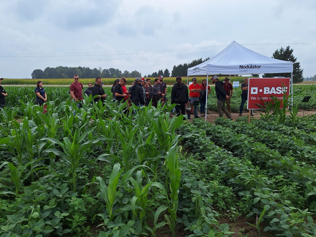 #agrisagronomy Ont coop system getting the latest research on fall weed control options at BASF Res Farm Glanworth Drive