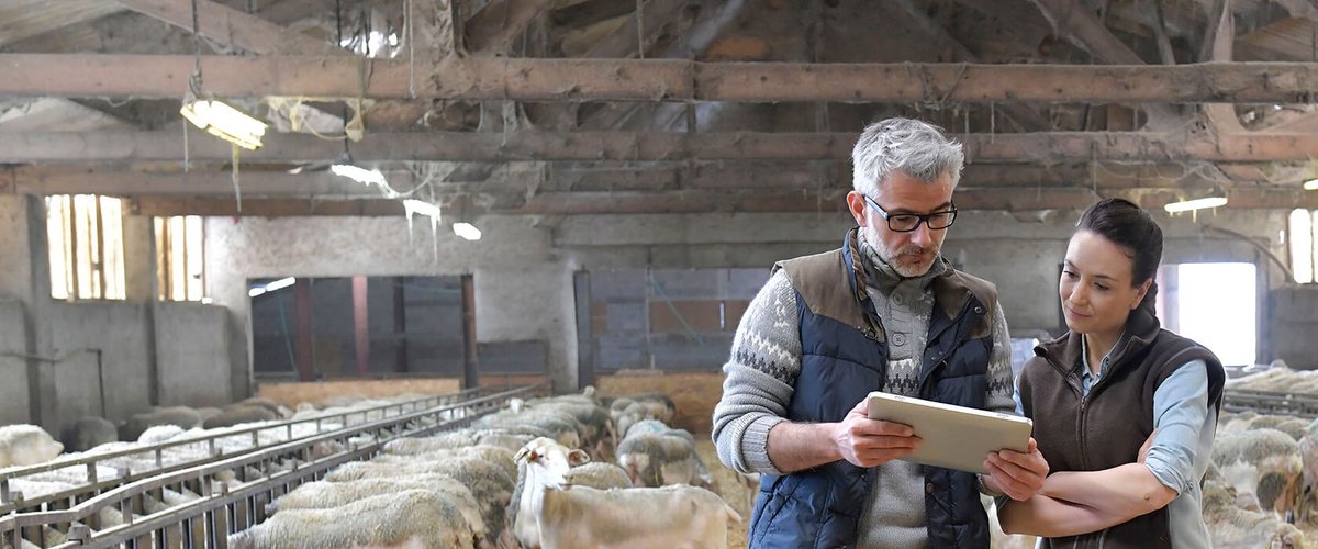 Able Systems Ltd tweet media