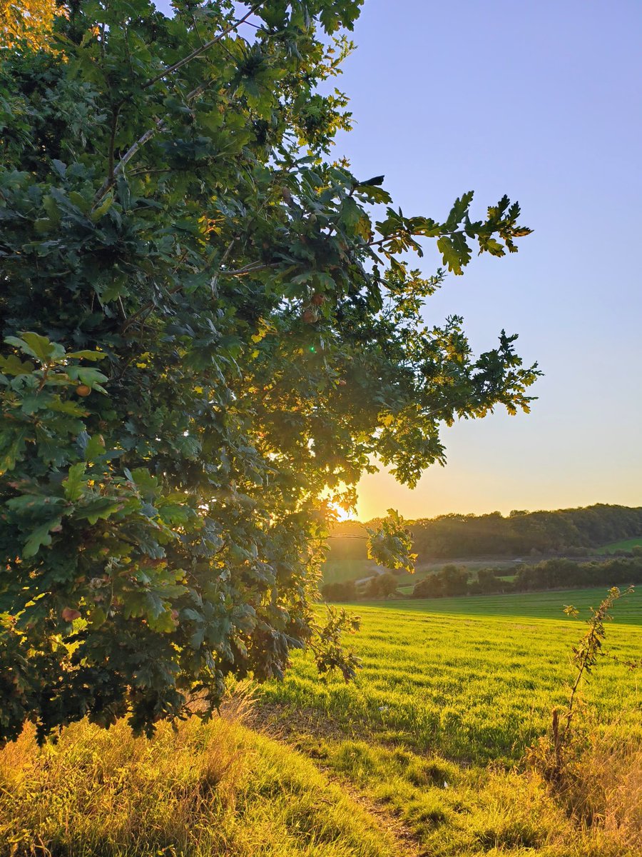 LadyGrace27's tweet image. The countryside holds a kind of magic only the heart understands...✨

#wednesdayvibe #sunsetting #countryside 
#nature #walks #magic