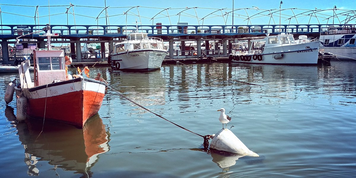 MagdalenaMpc's tweet image. 💛
En #Punta del Este