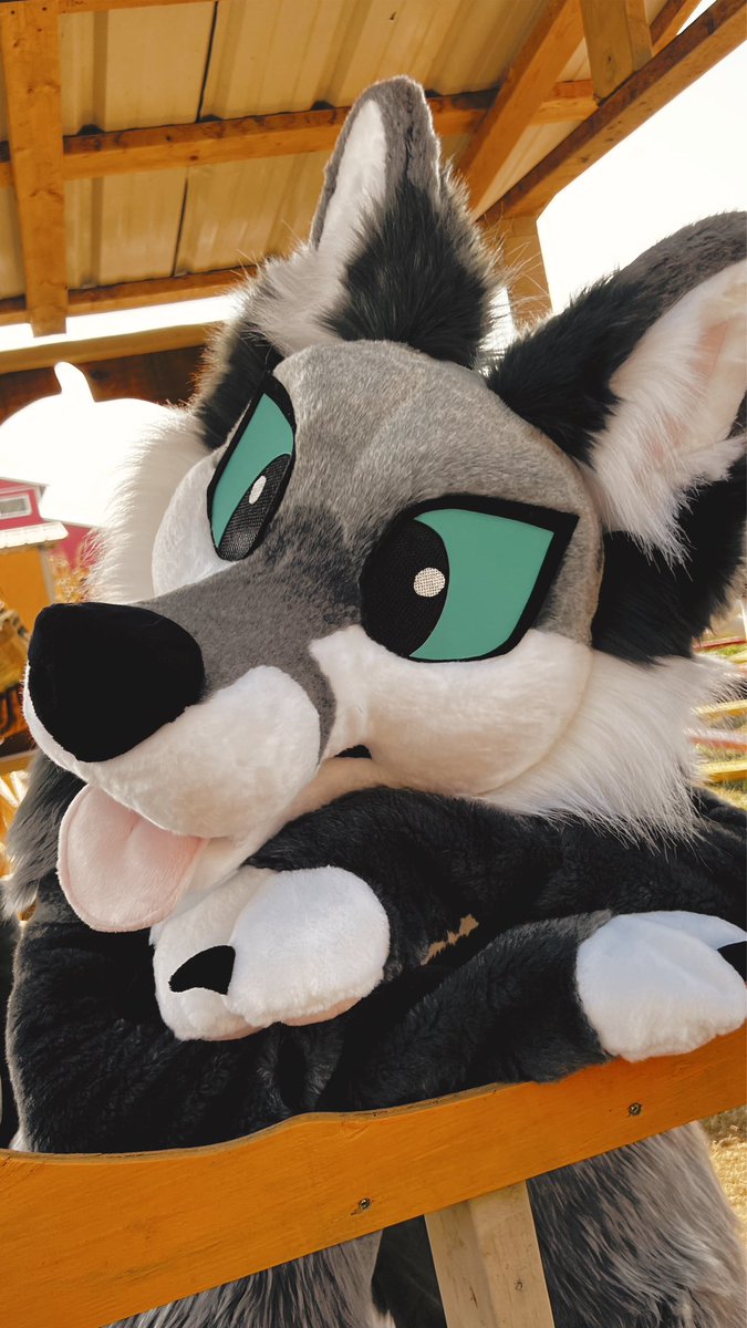 On theme with it being autumn again~ 

One of my fav times suiting was at my local pumpkin patch a few years ago! 🎃✨

Suit by <a href="/Pookauwa/">Pooka</a> 
Pictures by my mom lmao