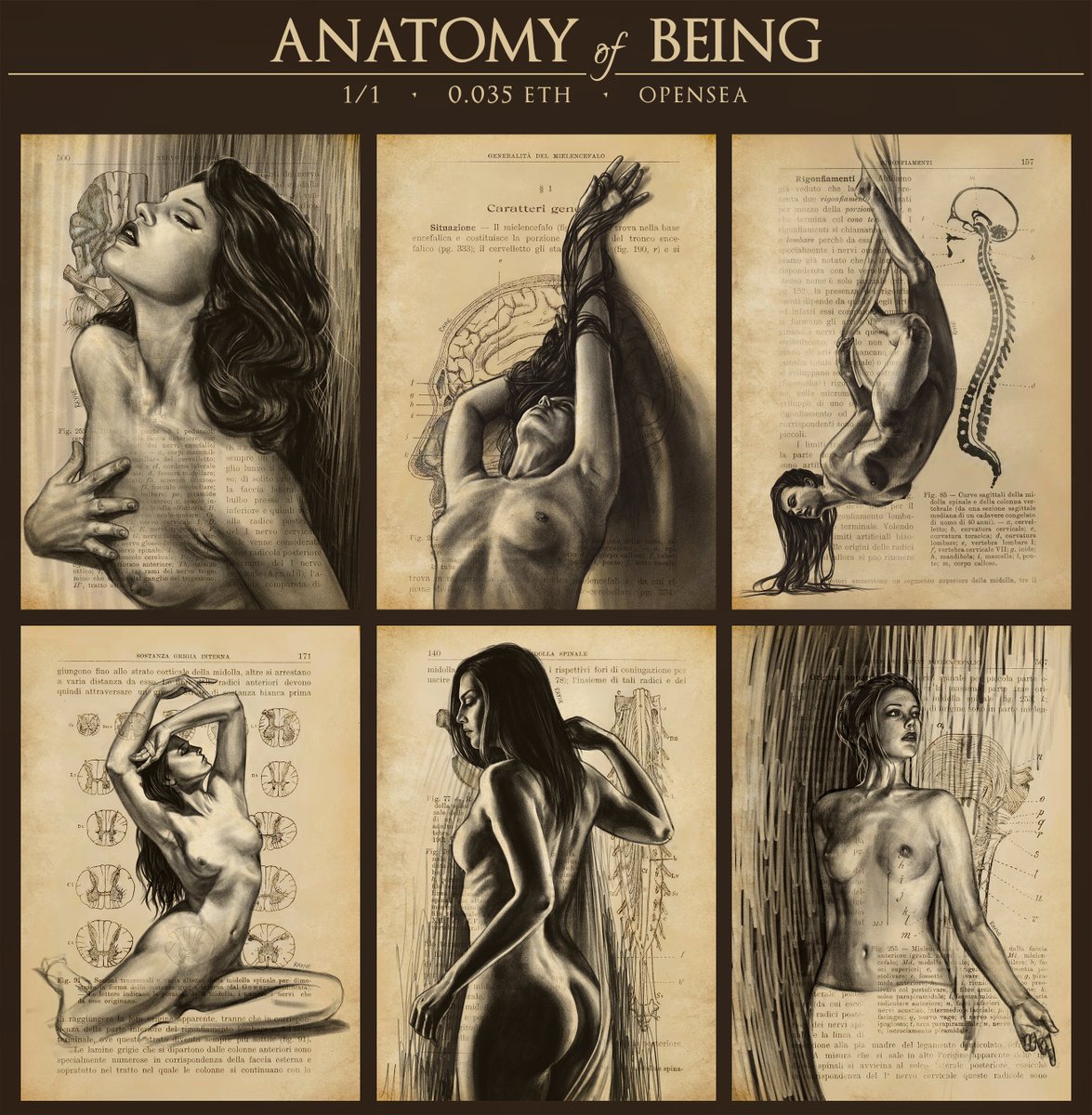 TheDarkRayne's tweet image. I'm fascinated by old books, science from decades ago. We have always been so curious as a species. Science 🧠 keeps evolving, but art 🫀 remains constant.

'Anatomy of Being' is a collection of 6 pieces, digitally hand drawn on pages of a 1914 anatomy book.

1/1
0.035E