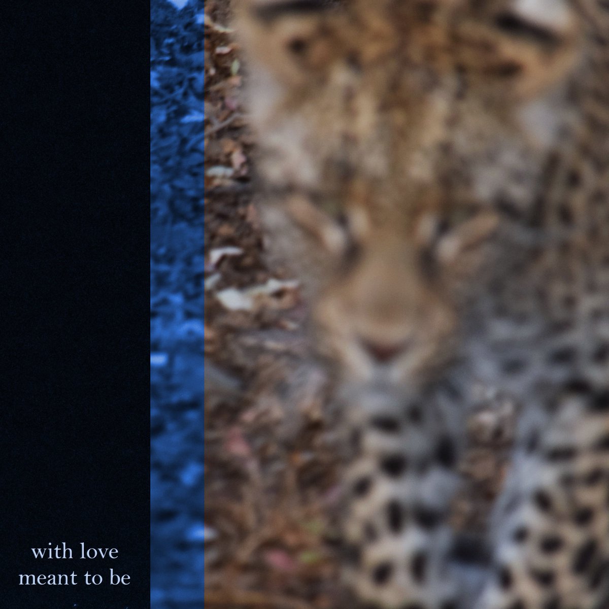 Meant to Be is out now !!!
Some of my best work imo. <a href="/kurtwarnermov/">johnny</a> went crazy on the drums here
cerah.bandcamp.com/album/meant-to…
open.spotify.com/album/1K5CxCmk…