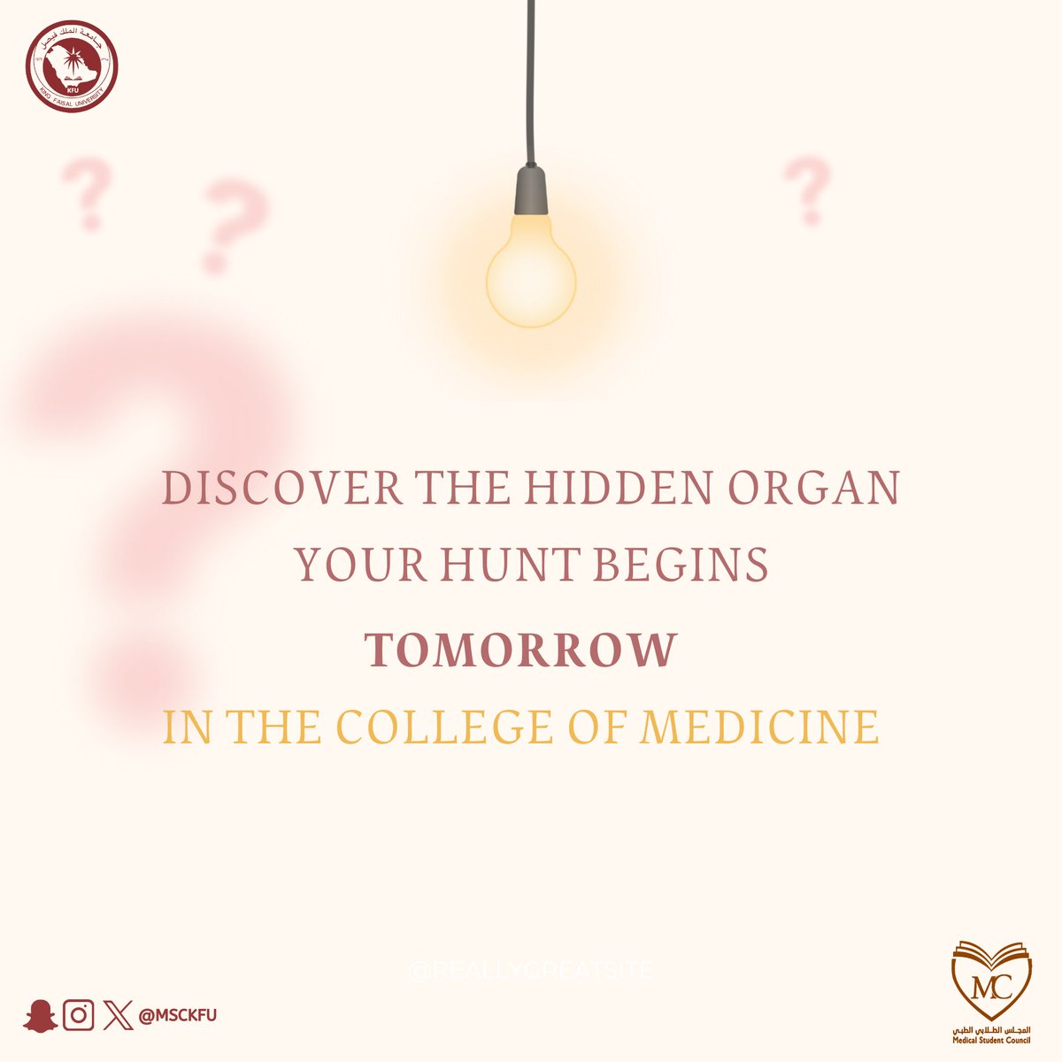 The hunt continues… your clue to the next organ will appear tomorrow, hidden in plain sight within our college.💡

#Organs_Journey