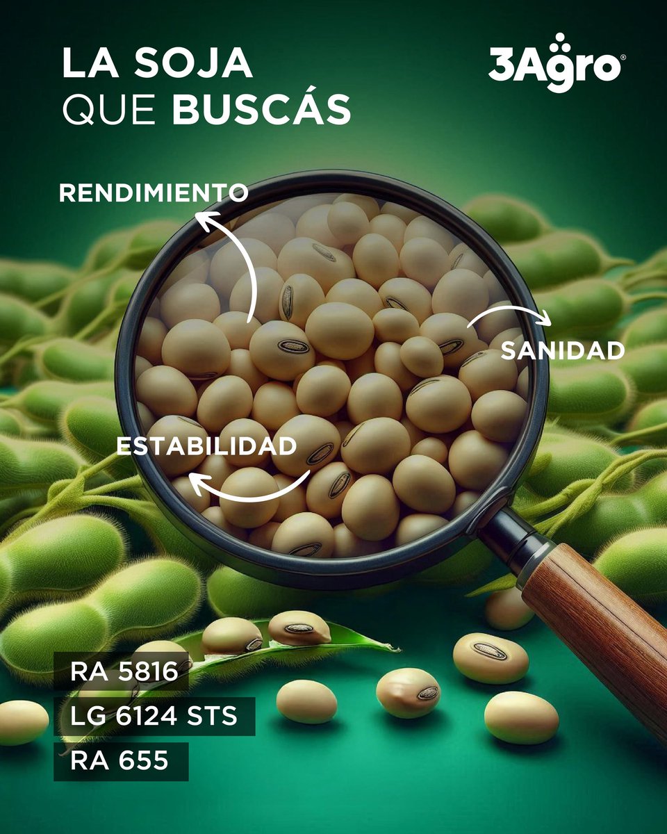 ✨ La soja que buscás está acá:
🌱Rendimiento
🌱Sanidad
🌱Estabilidad

📌 Variedades: RA 5816 · LG 6124 STS · RA 655

<a href="/lgsemillas/">LG SEMILLAS 🌽🌻🌾🌱</a> 
#santarosasemillas 

#3agro