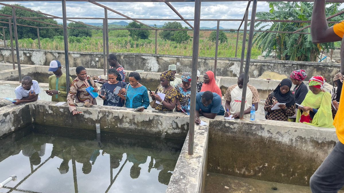 NSMoAOfficial's tweet photo. Training of Youths on Fish Farming!

The Niger State Ministries of Agriculture and Livestock and Fisheries in collaboration with AGRA, organized a two-day training of Youths on Fish Farming (Aquaculture) Enterprise at Tagwai Fish Hatchery Complex, Minna, Niger State.

#AGRA https://t.co/SzVOP163iN