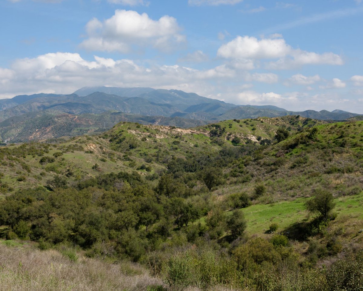 What does land management really mean? At IRC, it’s eight interconnected programs: restoring habitats, preventing wildfires, controlling invasives, growing native seeds, monitoring with science, building sustainable trails, engaging the community and supporting volunteers.