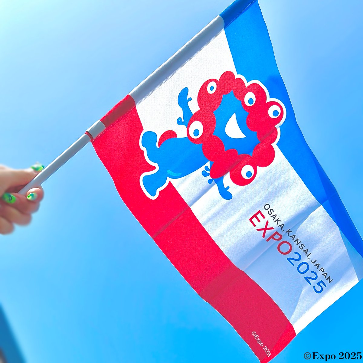 東ゲート店 MARUZEN JUNKUDO 🕘9/25(木)開店しました いっぱい振って