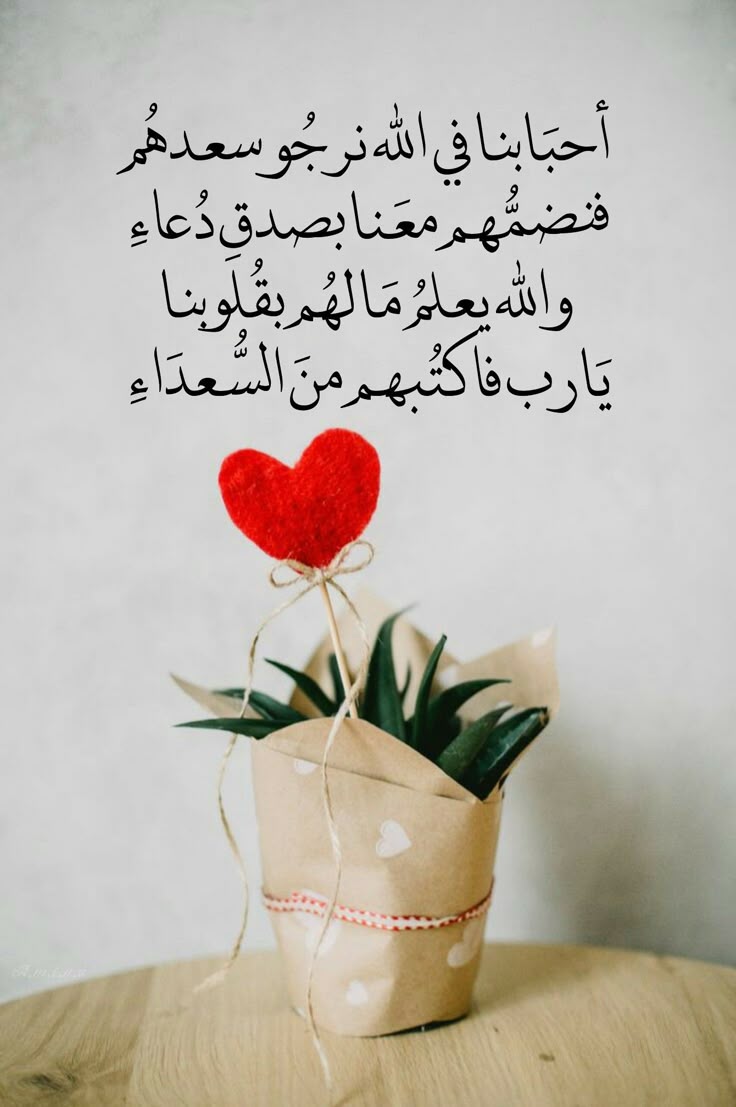 looloo1ll's tweet image. اللهُمَّ إن السِّعة تكون بأمرك، فاجعل عيشنا بسِعةٍ وانشراح، وهناء وارتياح وأذقنا نعيم الدنيا والآخرة
اللهم اجعل لنا في كل دربٍ نخوضه خيرًا وفيرًا ، وهونًا وتيسيرًا ، ورقيًّا عليًّا يُدنينا منك ويوصلنا لآمالنا ، وينفعنا وينفع بنا ، ويجعلنا كما تحب 🤍

#آمين
#دعوة_لكم
