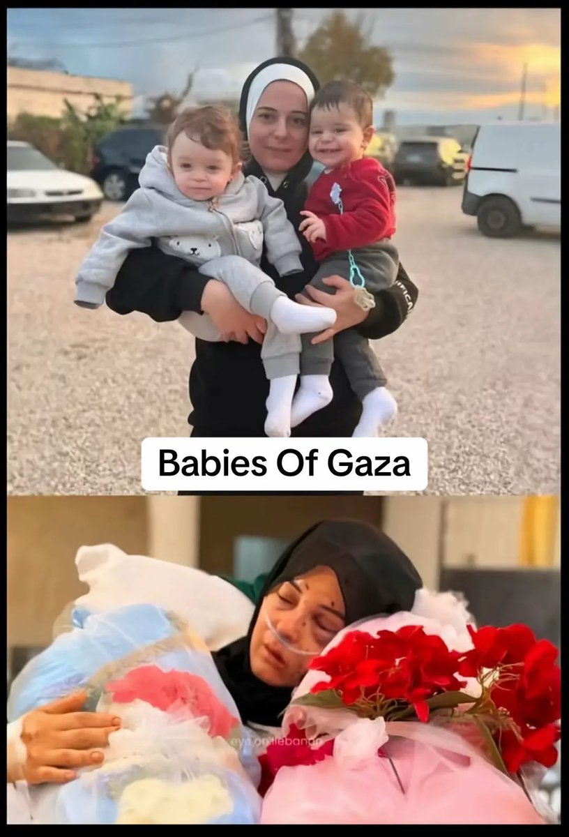 Dünyada bir tek siz kalmışsınız gibi Sumud Filosu için sesinizi yükseltmeye devam edin. 

SESİNİZİ YÜKSELTİN !

Filistin için SUSMA
 #WeAreSumud ✌🇵🇸