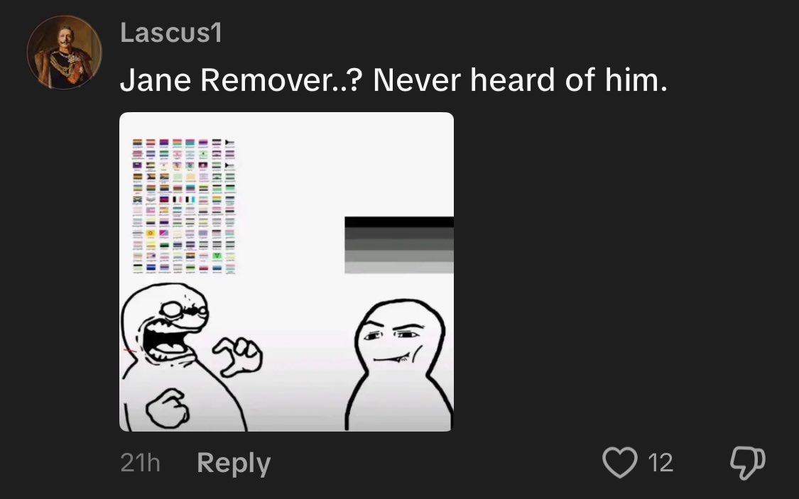 this is probably the single worst tiktok comment i have ever seen in my life oh my god