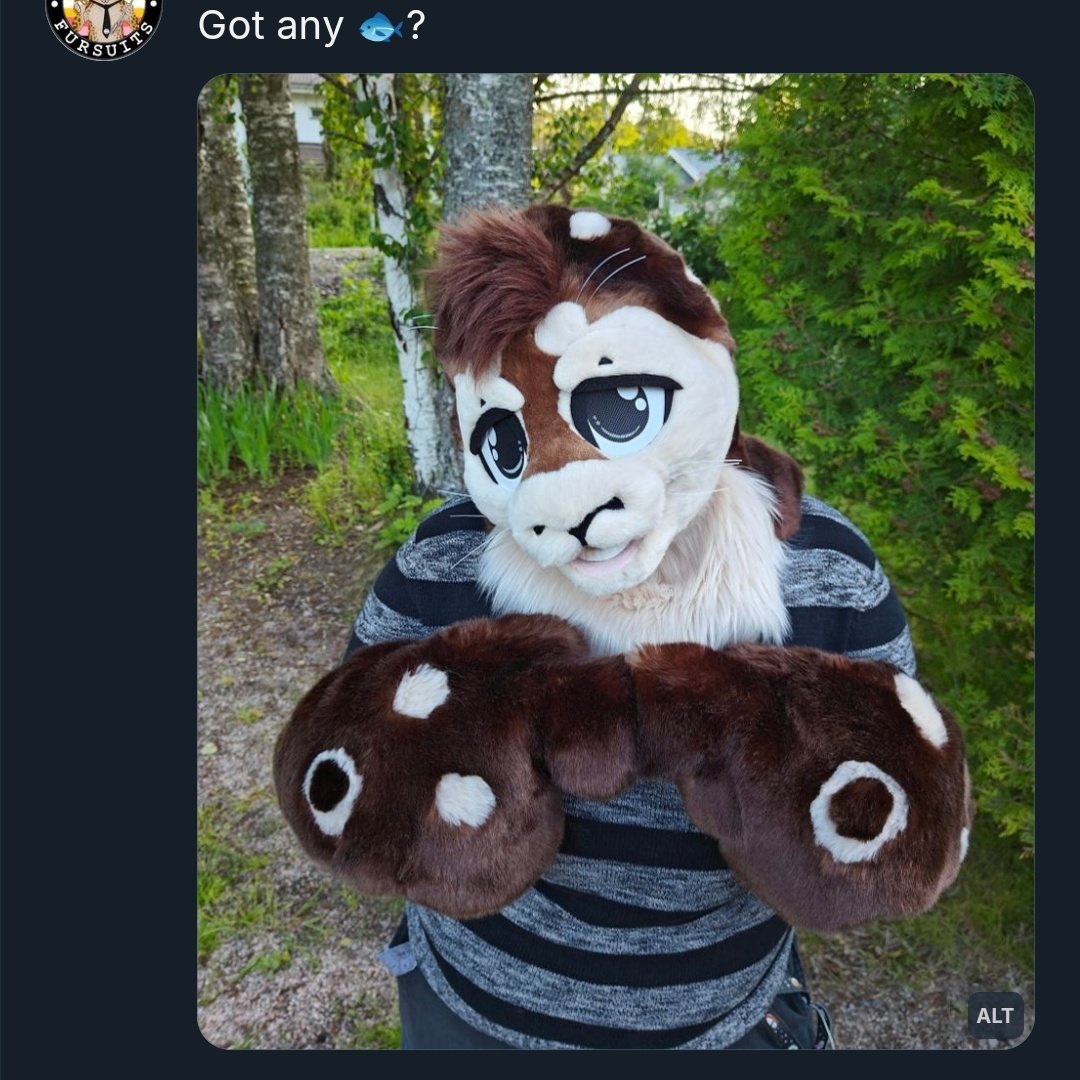 Haven't been very active here but we got Marcello the seal #fursuitforsale for whomever interested in giving them a furever home 🦭

3-part partial (head, big hand flippers, massive tail fin &amp; bunch of extras) ✨ 

All info:  thedealersden.com/listing/seal-p…