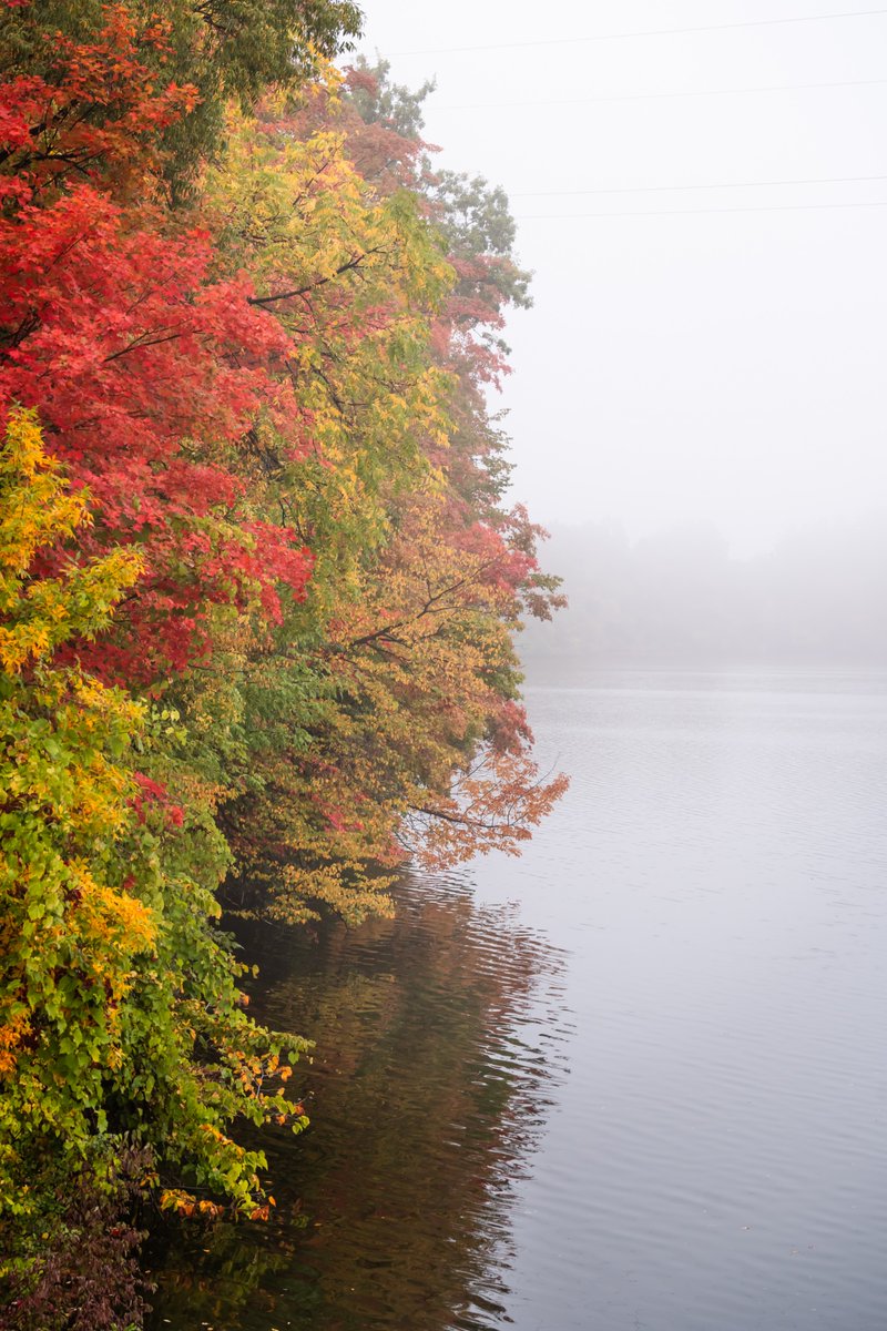 grandriverparks's tweet photo. Fall colours have arrived across our conservation areas. Misty mornings and golden-hour trails are here to enjoy. Share your fall photos with #GrandFallColours! https://t.co/KemGTPW21b