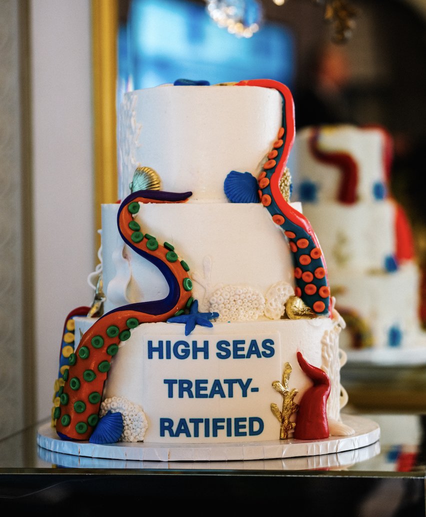 Yesterday in NYC, world leaders, actor and activist Sigourney Weaver, ministers, ocean champions from civil society, and philanthropy gathered at the high-level event to celebrate the ratification of the #HighSeasTreaty 🎉 

highseasalliance.org/2025/09/24/hig…

© Campbell Brewer