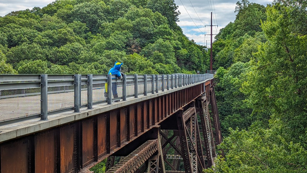 Sometimes, the quiet moments are the most meaningful.  
Taking a peaceful pause, looking at the landscape, and letting dreams of the future drift in the breeze. Here's to finding a serene, quiet place and dreaming big for what lies ahead. 💙🌄

#FursuitAdventures #FursuitOutside