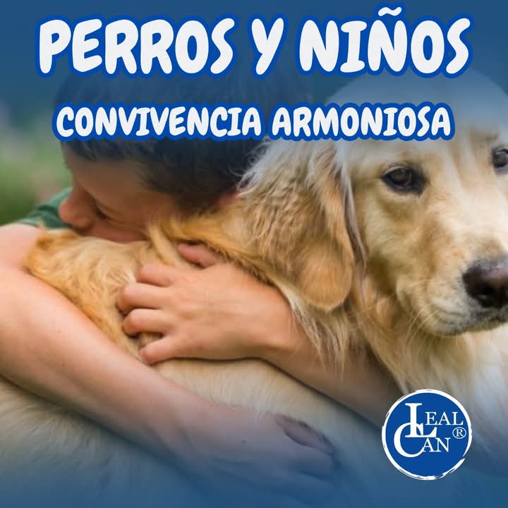 En este artículo, compartiremos ejemplos prácticos y consejos para asegurar que tanto los niños como los perros disfruten de una convivencia armoniosa y feliz. 🥰

📌 Os compartimos el enlace del artículo.↙️
lealcan.com/convivencia-en…

#LealCan #perros #perrosyniños #niñosyperros