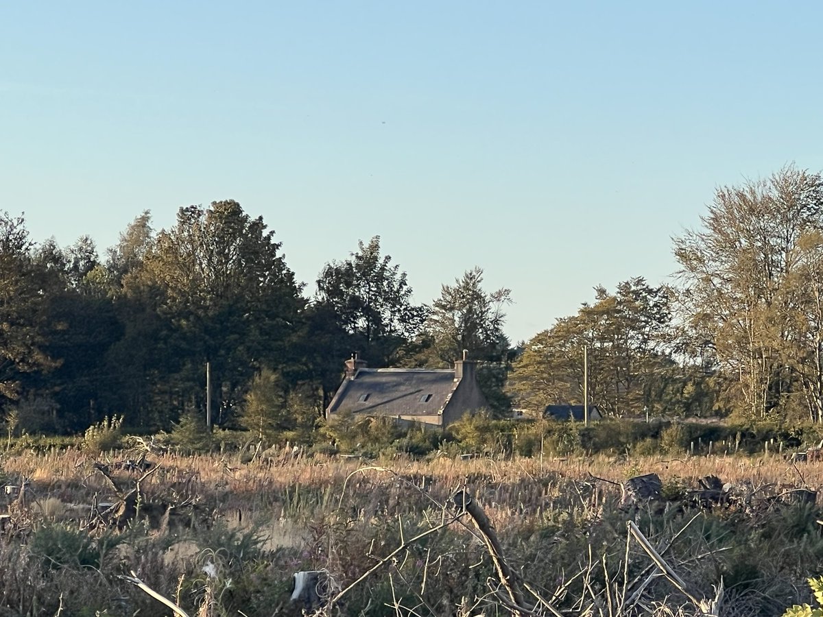 Our home. Love this cottage.