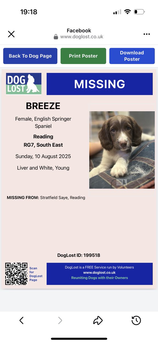 rosieDoc2's tweet image. #SpanielHour
BREEZE missing young/puppy #ESS from STRATFIELD SAYE, #Reading #RG7 10/8/25
Liver&white female
CHIPPED
doglost.co.uk/dog/199518
@stratfield_saye @RachaelB100 @alid2912 @BitofDecorum @juliagarland73