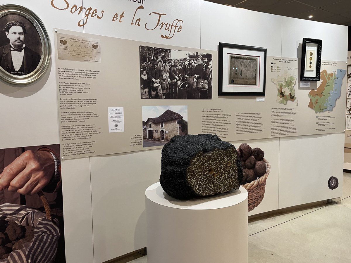 smurfproject's tweet photo. 🌳 #SMURFteam Day 2 in Bordeaux!

🍄 Morning: guided visit to the Écomusée de la Truffe, exploring the heritage &amp; traditions of truffle cultivation.

🌲 Afternoon: forest plot visit in Vaunac, focused on land consolidation ops (AFAFE) in collaboration with CNPF. https://t.co/qwqQvRB6wB