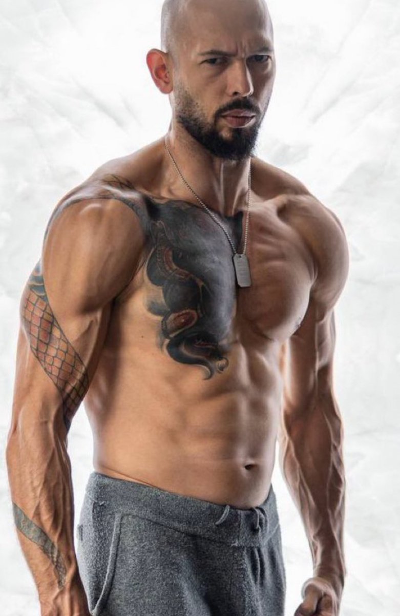 My cat forcing out a shit immediately after I change the litter tray