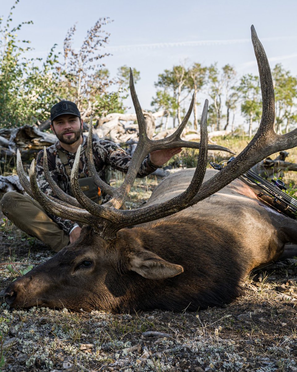 firstlitehunt's tweet photo. For those still grinding to fill their elk tag, moments like the one shown here are proof it’s possible.
#FirstLiteHunting #GoFartherStayLonger https://t.co/ABKE56zFjw