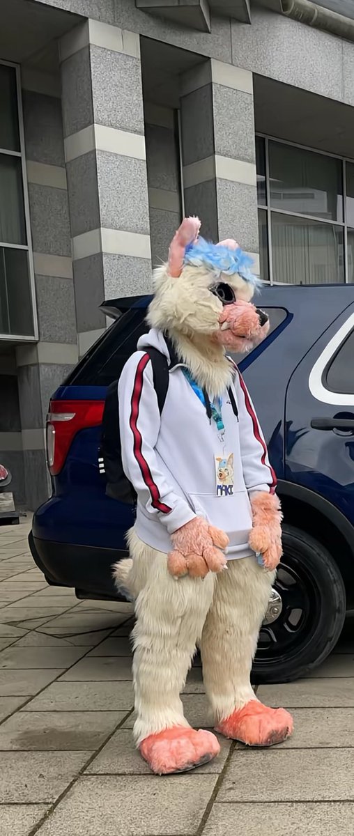 GamecockWill69's tweet image. I’m so proud of my buddy Clemson Pepe on finally embracing his inner self and coming out!