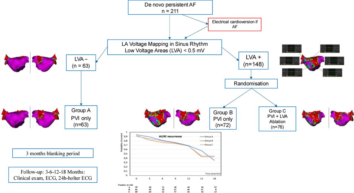hrs_journal's tweet image. Pulmonary vein isolation and low-voltage area ablation in sinus rhythm for persistent atrial fibrillation: The SCAR-AF randomized trial
heartrhythmjournal.com/article/S1547-…