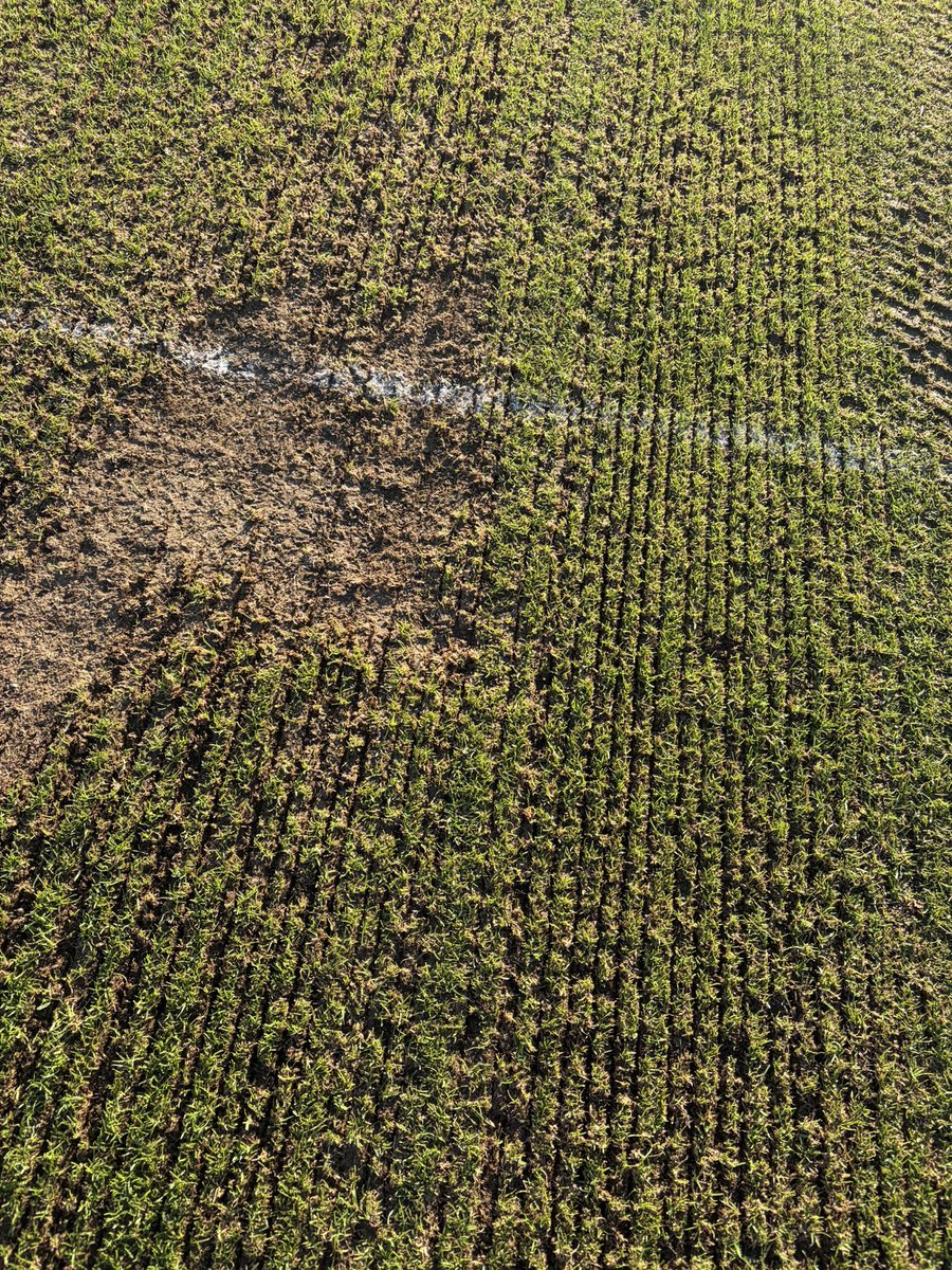 Sports Pitch Maintnance tweet media