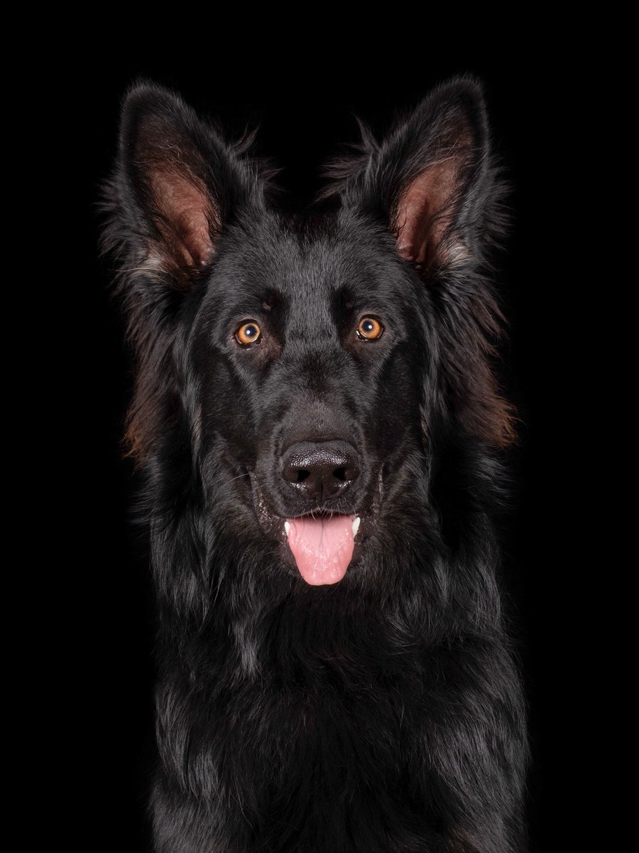 Lenneke Manschot tweet media