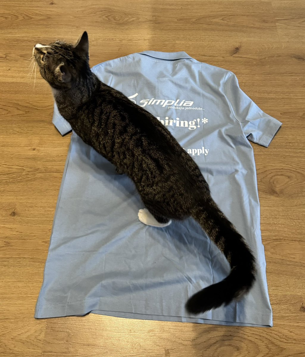 Poslední tři místa na warpcamp.cz, kdyby se vám náhodou uvolnil program! Já už mám na letošek i vytisknuté tričko