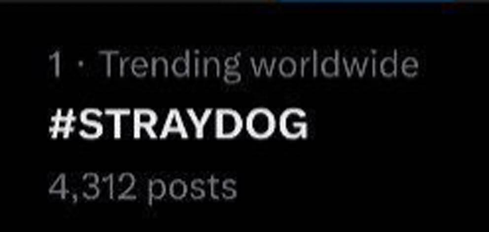 StrayDog tweet media