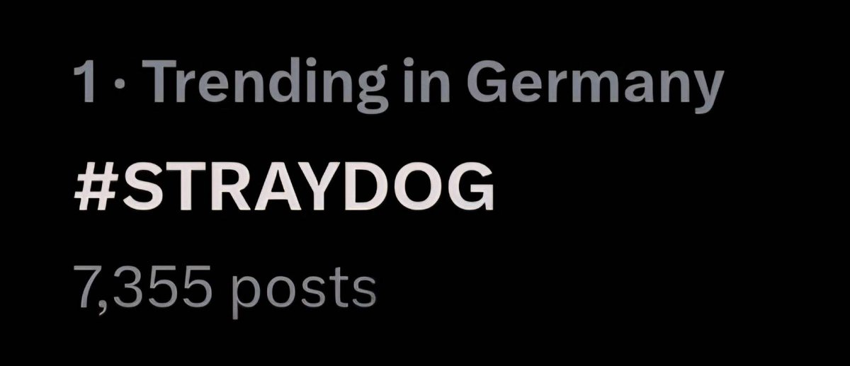 StrayDog tweet media