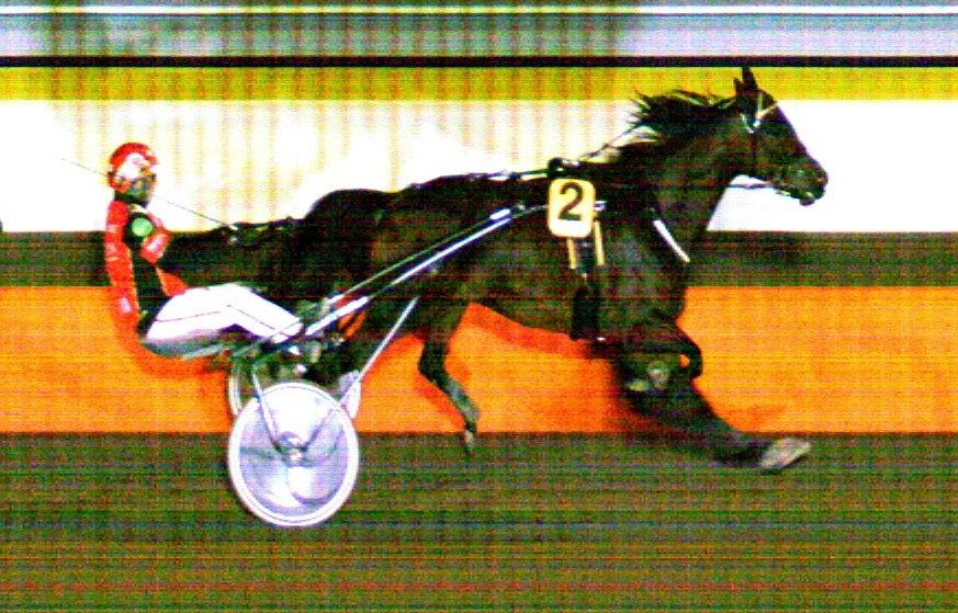 L11: Ilta päättyi Like My Diamondin voittoon, ohjissa valmentaja  Tapio Perttunen. Like You Team Orimattilasta omistaa tamman ja on sen kasvattaja,  Suvi Perttunen vastaa hyvinvoinnista, kovasti onnea taustajoukoille #ravit